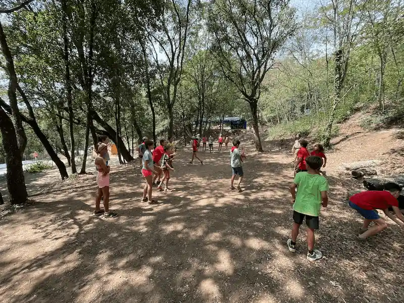 CEIJ Mowgli exterior